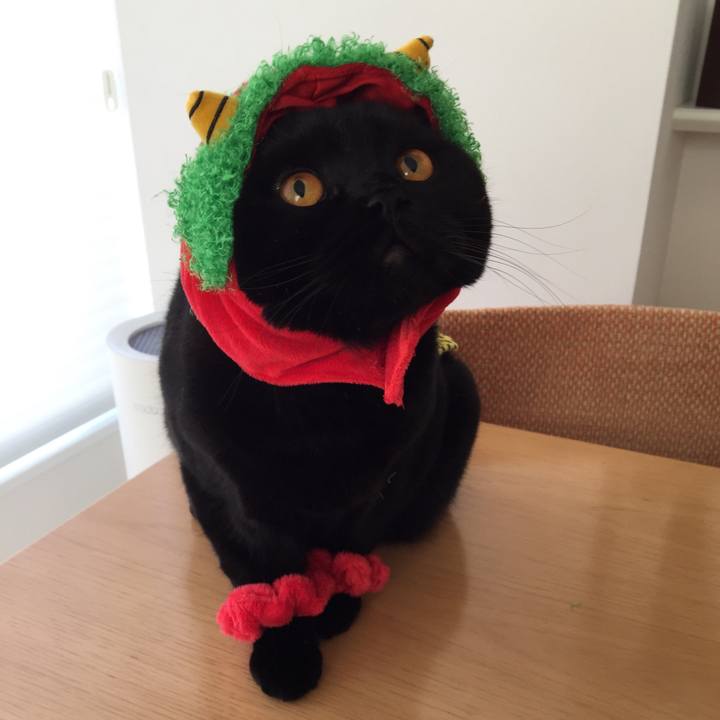 Ef4e8fe2 51d4 4401 8fac 3e783133b30c 1517614545667