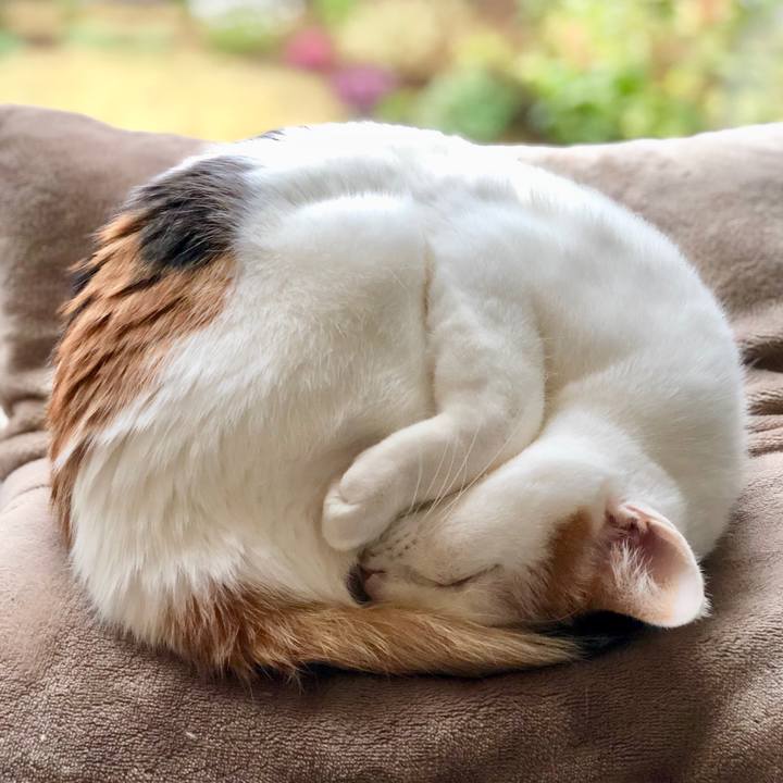 Ef4ec30d e68a 4815 8cac f8c7bb45302e 1587185039084