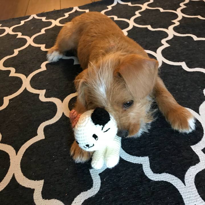 Ef4ec724 9f87 4f8f 8302 6d97766f11c5 1519902663125