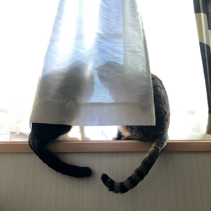 Ef4ed4aa c172 4031 87de caf24009cbe0 1612580906519