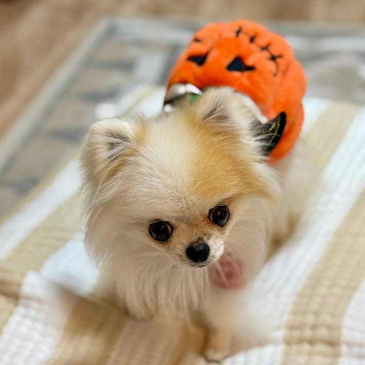 Ef4efbcb d6e0 4b26 8aaa 46ec9286b718 1761921610399