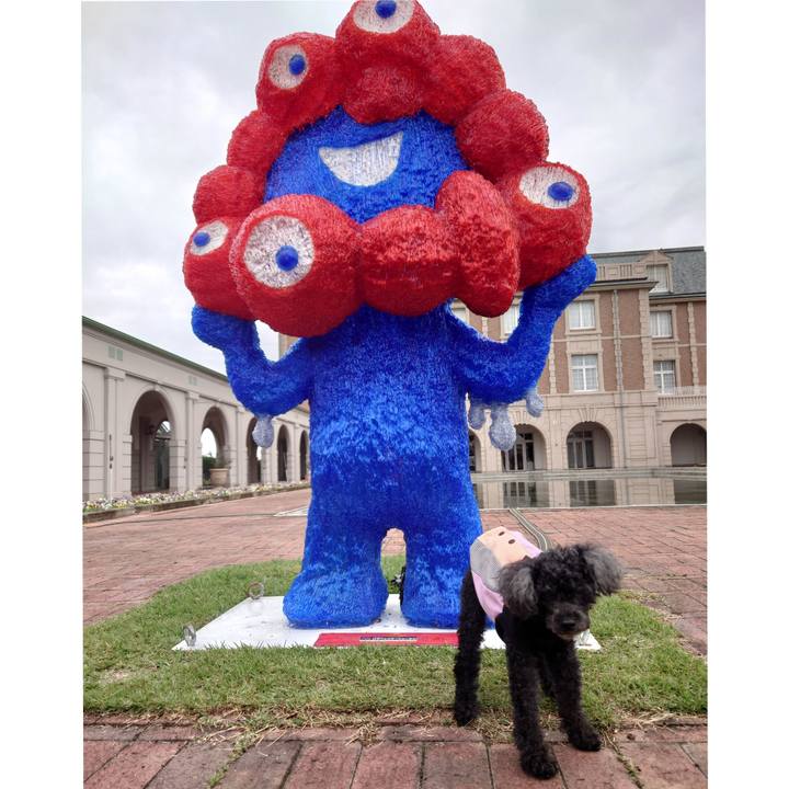 Ef4f02c2 0de5 4654 a184 2819e7a70576 1761205110957