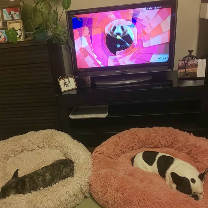 Ef4f0a5b 7002 4c20 9eb6 17588812f927 1681123171115