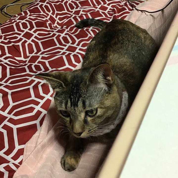 Ef4f0a69 428a 42ce 81bd 45971df3869b 1609579260905