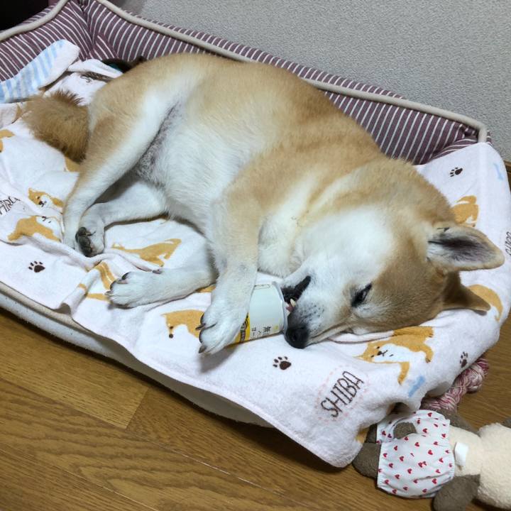 Ef4f8b52 7fb2 4944 8abd 2270a50aa967 1602594103880