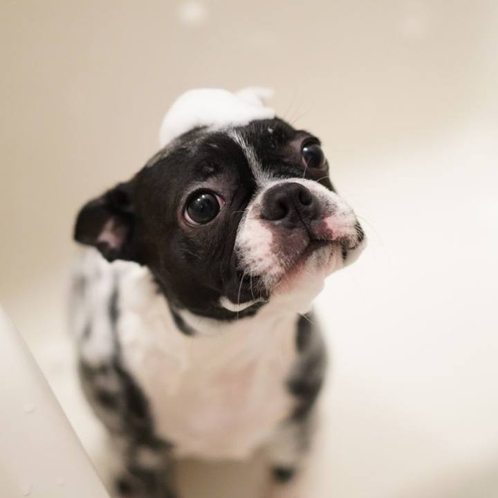 Ef501239 defe 4387 a0bb 82b42dfc6789 1549108113892