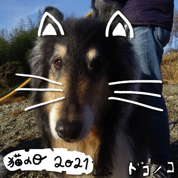 Ef50130a 7347 465f 8819 9a11197c076c 1613999678668