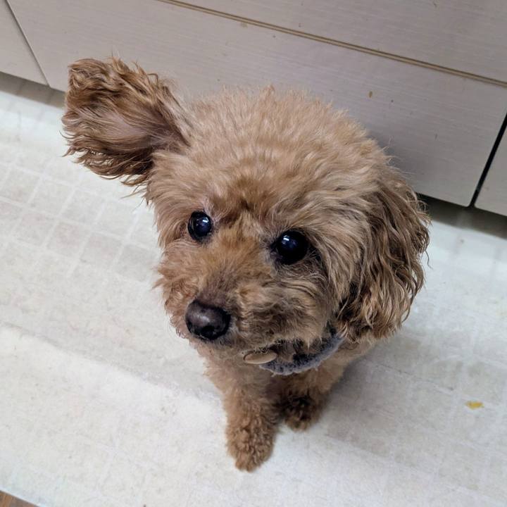 Ef501af2 ca80 432d 8ecb b74ef2253540 1766108028083