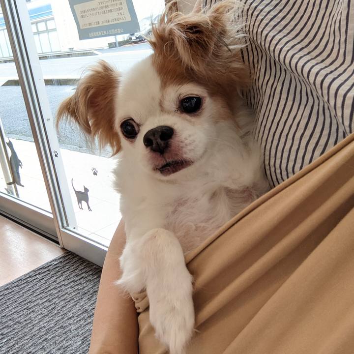 Ef5031f4 40e4 4f72 83e3 5ad17e5babcb 1631970794006