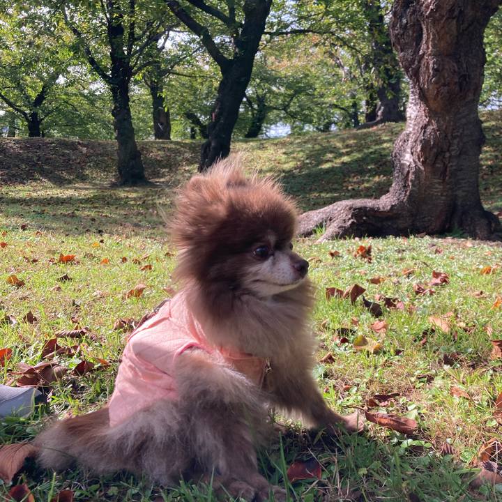 Ef5040d4 c908 4096 9adc 627b06802fee 1697673267597