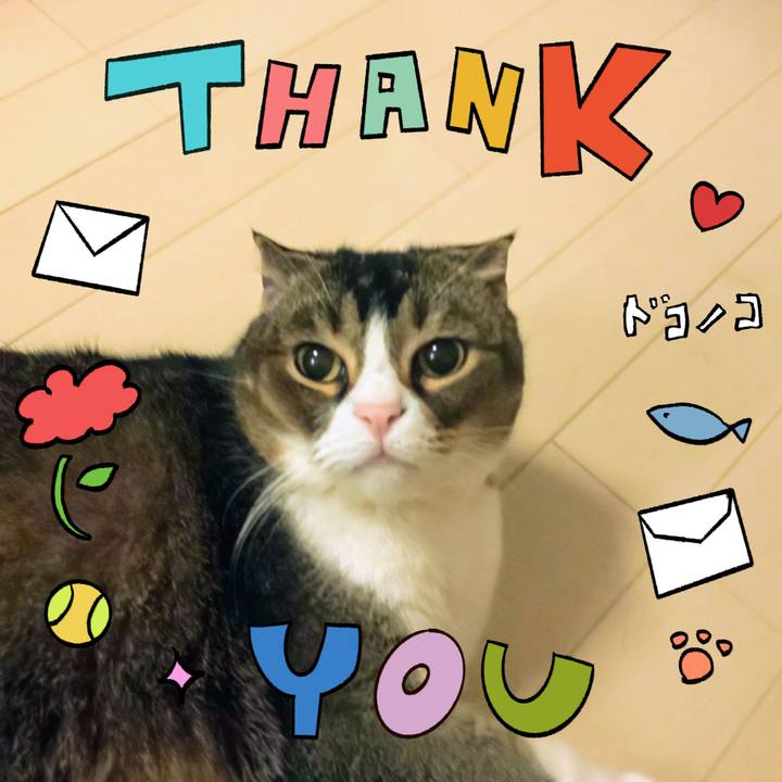 Ef50691d 53ed 4e72 b8bc c7f4a178f8de 1714990188098