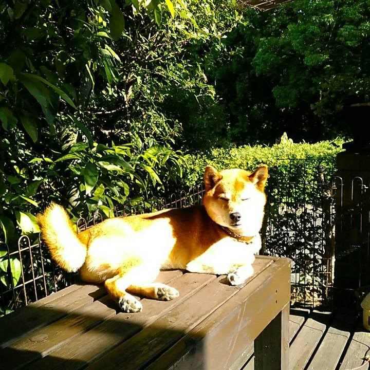 Ef50a89a 9df3 4a0b a8f5 6056abac3722 1558679755751