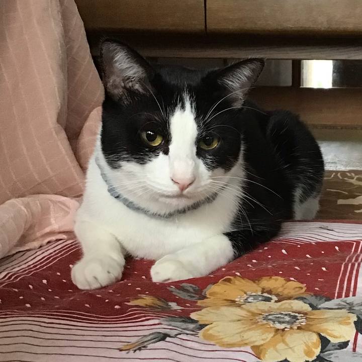 Ef50ad51 a67f 4bb9 964b 35880a26e97e 1663816944789