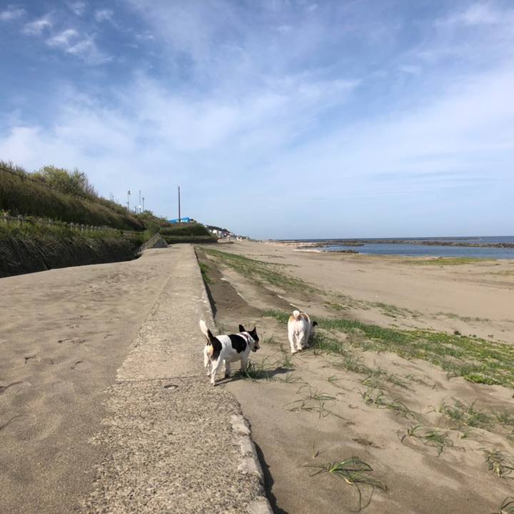 Ef50b6de 2be6 442e 910d d8b3537db771 1558483925380