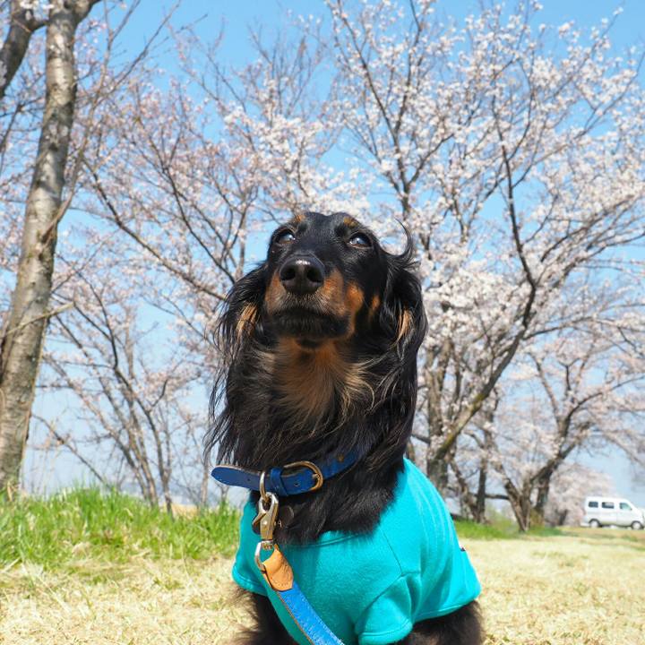 Ef50e7ff 59fb 4363 b463 715b0b87c0d5 1522201383483