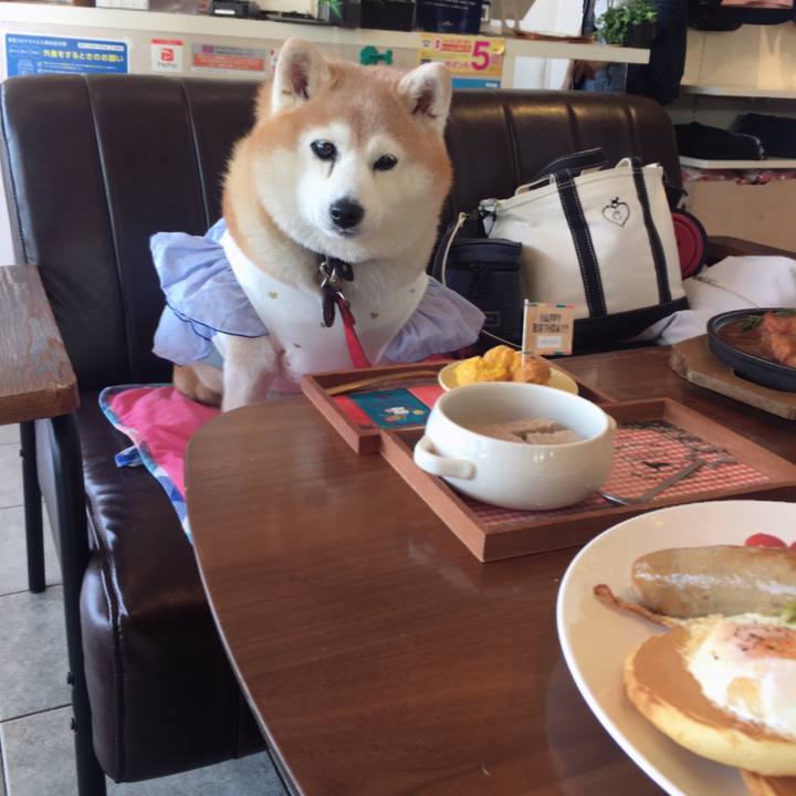 Ef50fa26 5ade 4679 be55 127f4fd8ac2f 1619047172890