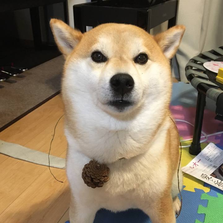 Ef50fb70 a9c4 4d48 baa1 c03f2e9a6317 1547218059119