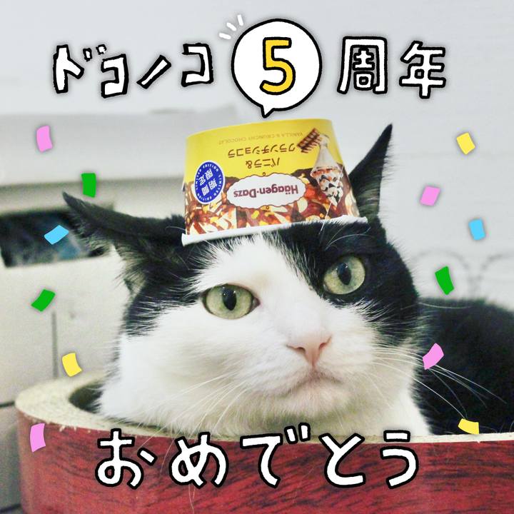 Ef511c9c 3381 4fb3 9eb7 eae1024ad25c 1623425503322