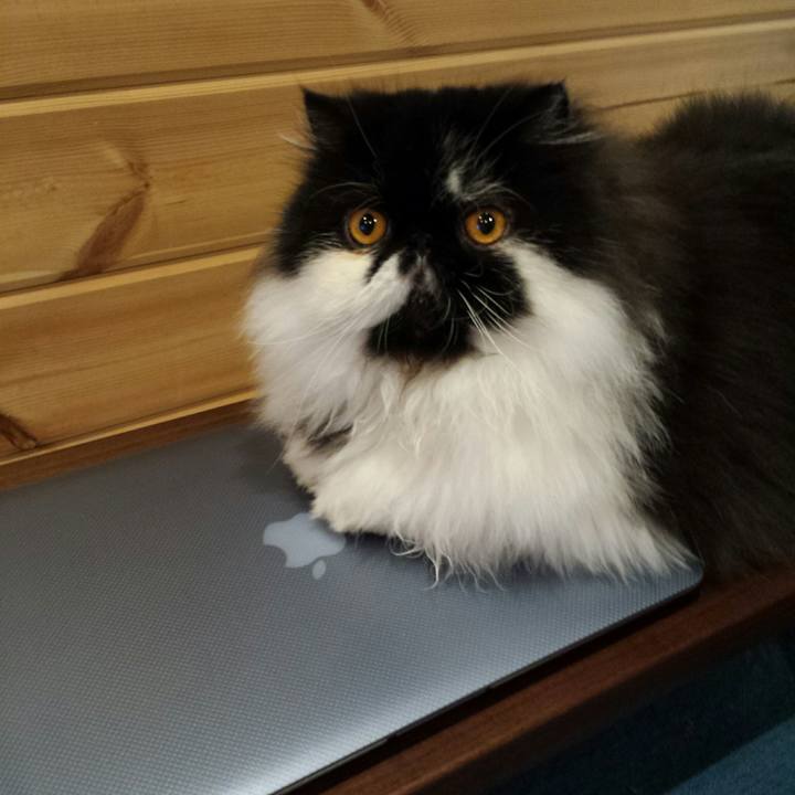 Ef51890b 277a 41a1 9a1d 062ae0bd2366 1515842006643