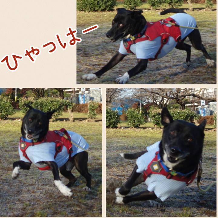 Ef519f2d b140 49b9 9368 d1537cbafd57 1673573711059