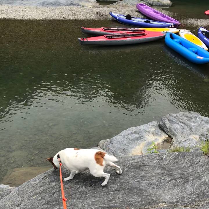 Ef51d4a6 3560 4178 ac90 e2286ee4145f 1527423969861