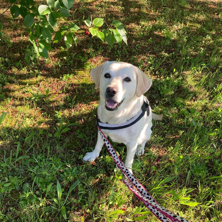 Ef521416 f236 4963 ab23 5f9556d73352 1715311755771