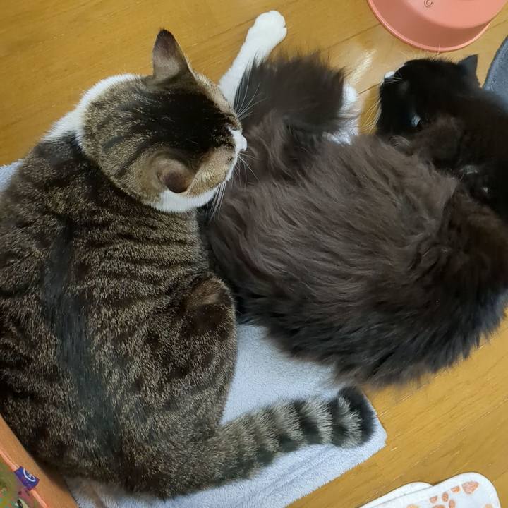 Ef5225e1 9c11 4f24 a0b1 6d6768327ecb 1701082569407