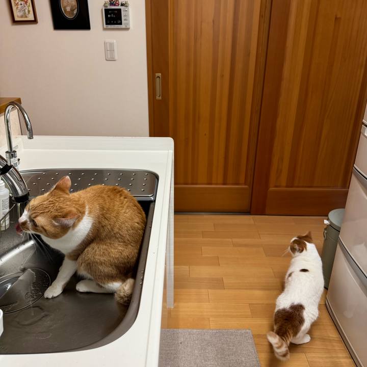 Ef5232e6 2d8f 4628 921c 89e4811eaafe 1765408762147