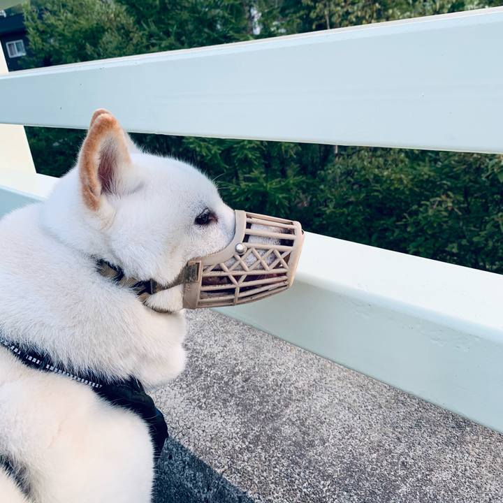 Ef5257d2 a48b 470d 90b3 709789379490 1630183484259