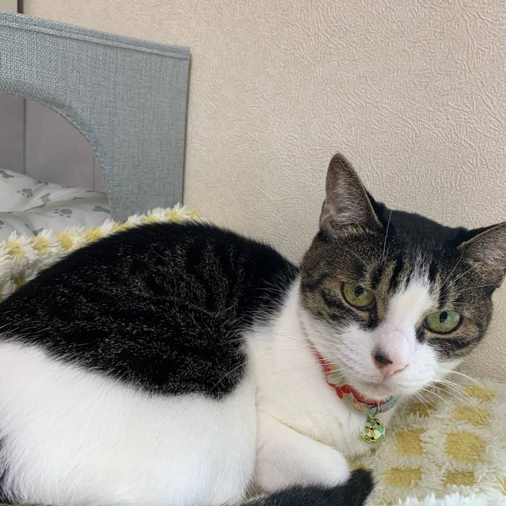 Ef5271ab 9c84 40d8 bdea a78a9b2e77ed 1728458401314