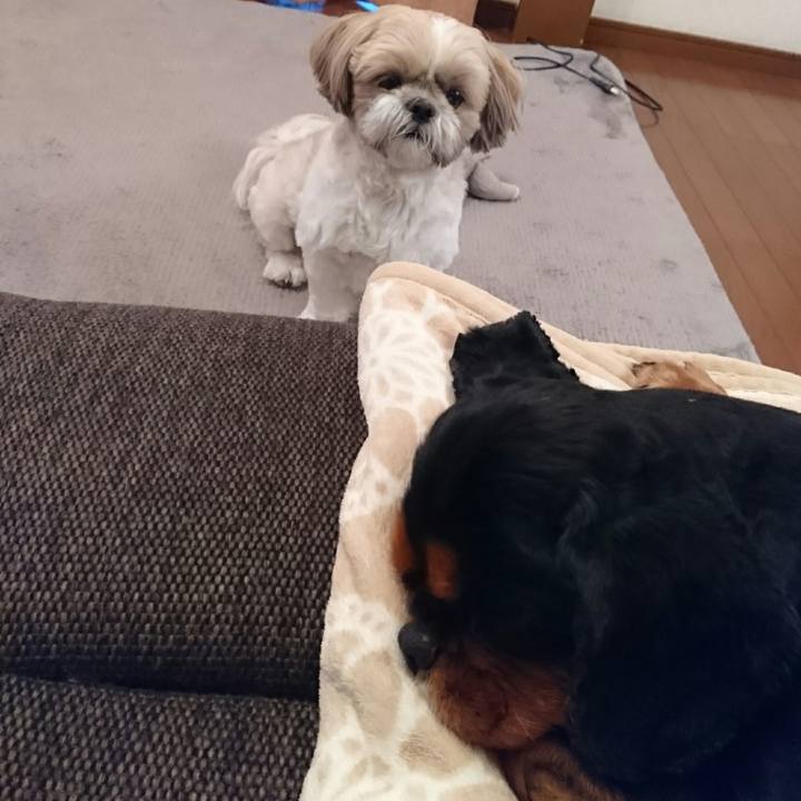 Ef527494 a481 4036 bfa9 ebae165304b9 1556614440562