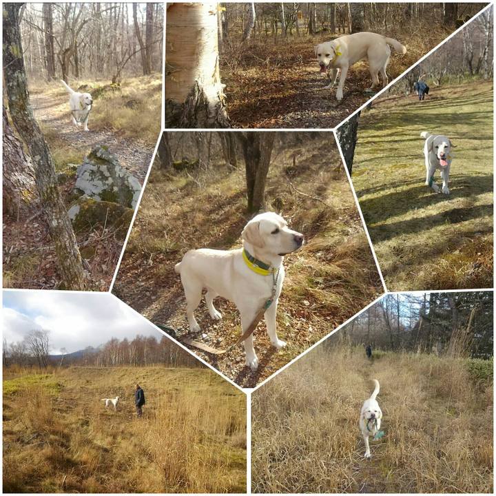 Ef527581 3f4f 4589 9799 a7db2c1bcb22 1511489008070