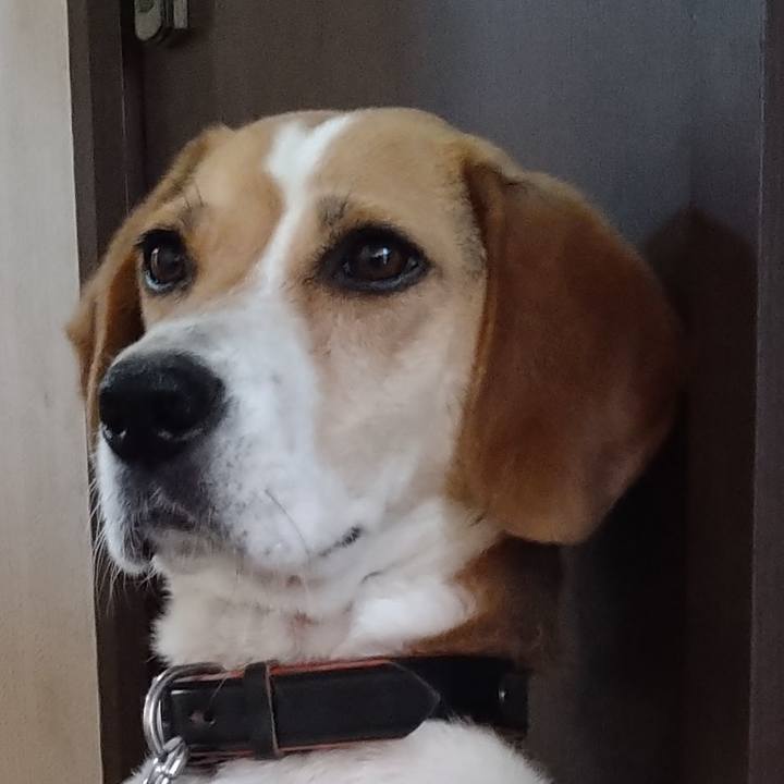 Ef52a6bc cccd 41c9 94b5 a90411adcc21 1624365423612