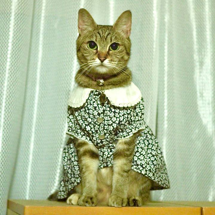 Ef52f810 0212 4e96 87ec 30a7ca3374bc 1748951809707