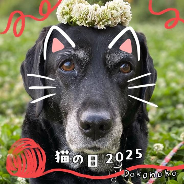 Ef53109f 3ba1 4a60 9883 49889c1c7424 1740217805128