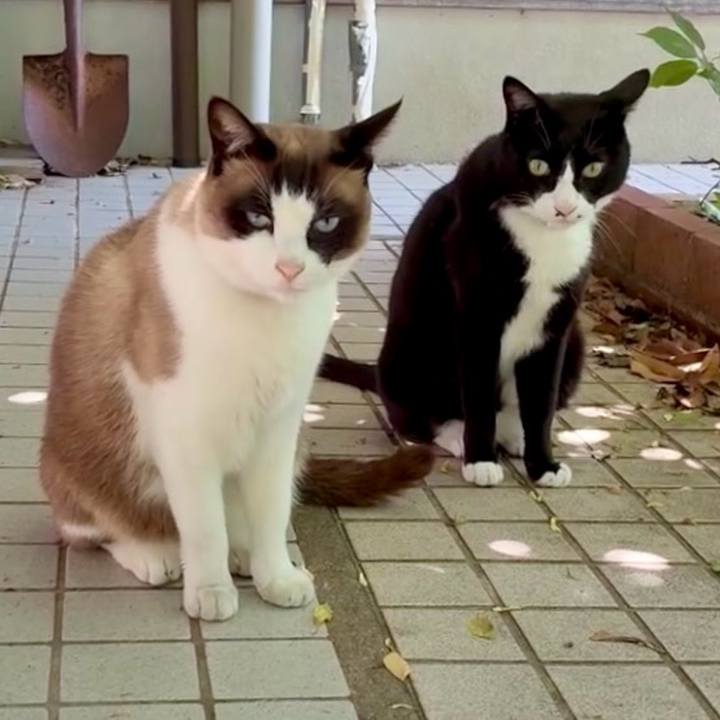 Ef533513 545b 4e63 9f79 ae08a509d2f1 1748313323429