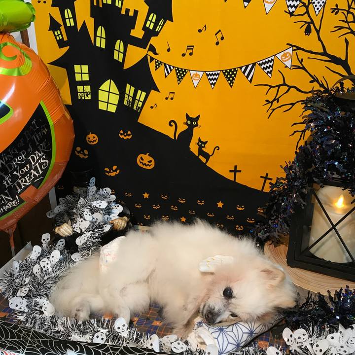 Ef535207 1cc2 414d 8b87 728e7b99524c 1540956554473