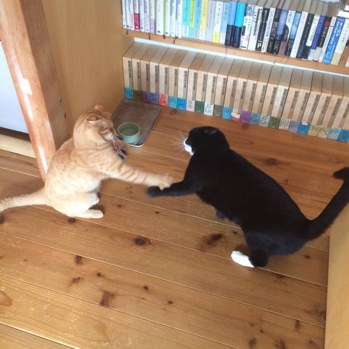 Ef5370a5 7bce 4171 8025 f2e04ea134ca 1510787586114