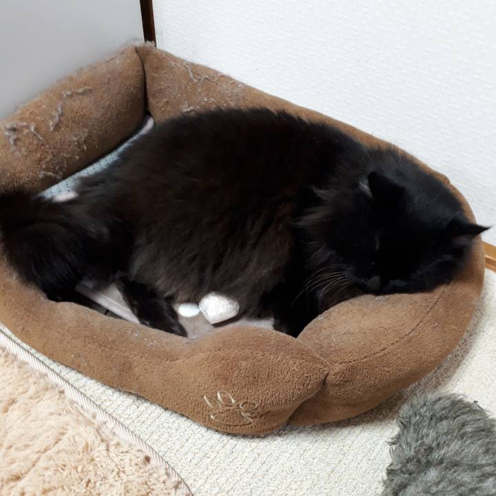 Ef5382f4 710d 4b20 85af 4272e979cc5b 1521145751594