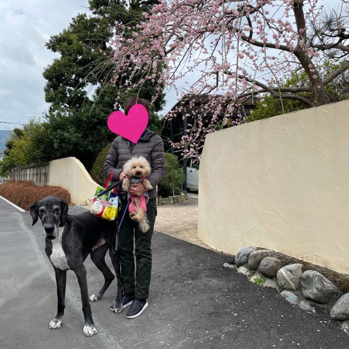 Ef53b85e 009c 4edd 9149 63907f4e7a10 1613189452989