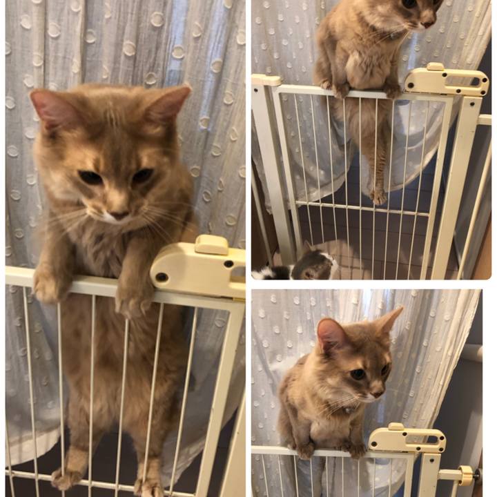 Ef53bb80 4247 4c58 9ed4 bb8db625eb31 1583290309600