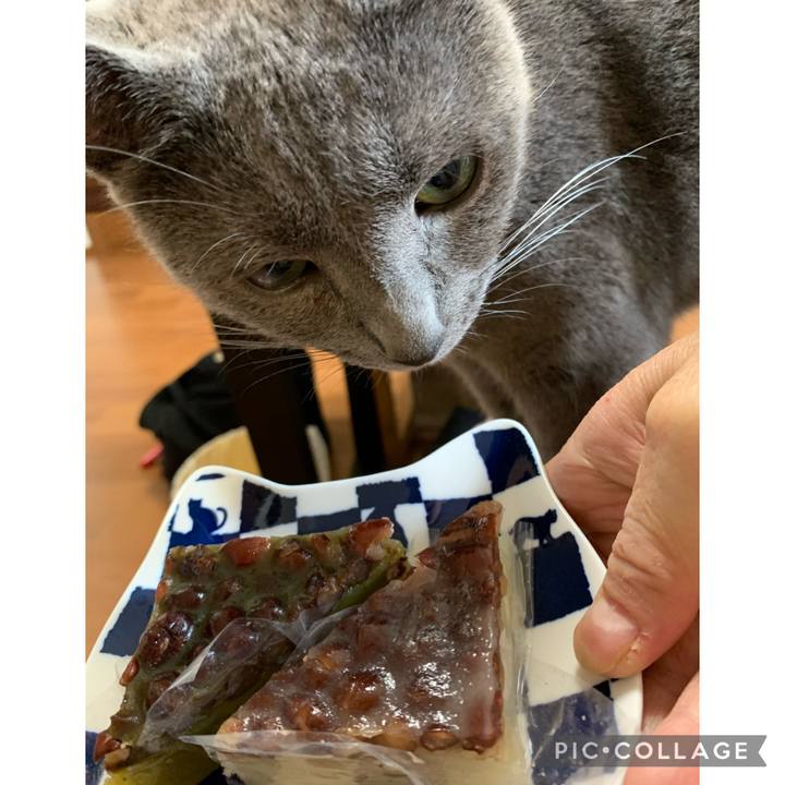 Ef53fba3 7f81 437d beaa 9461f133f0c2 1625033342035