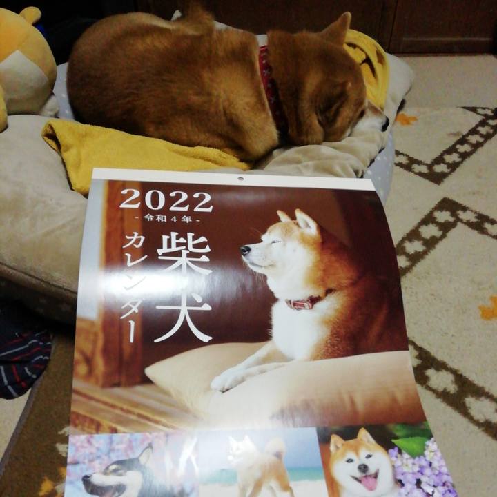 Ef541e58 b4ad 4864 8020 64bd0fb443c6 1640994782367