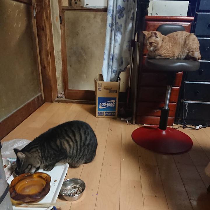 Ef543af2 fcad 450f 9c16 306969b1adb0 1636197160505