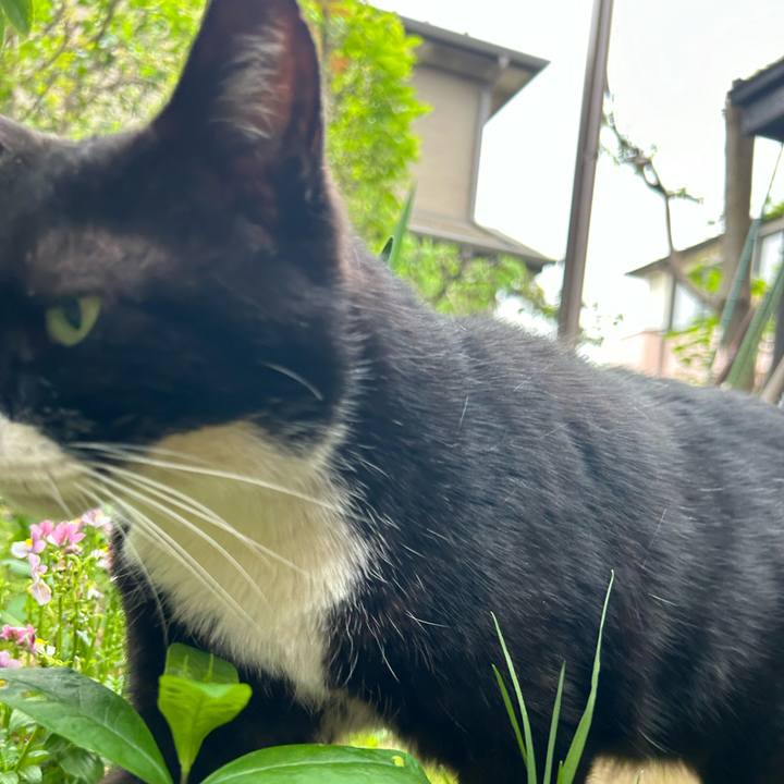 Ef545f79 3a36 48ee b9bc 8591825d0e11 1714132611722