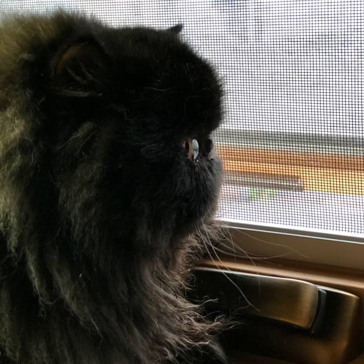 Ef547c8d 62dd 46ef a6de 5bdfd1eda73a 1559119387691