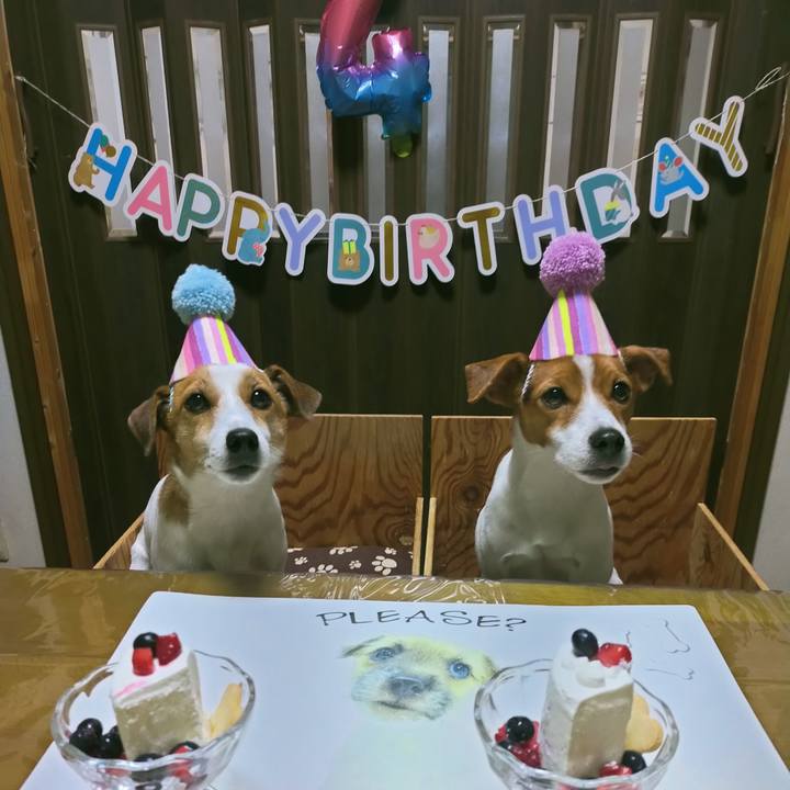 Ef54f911 5efd 4cb1 82c6 afca53eac28f 1763634628893