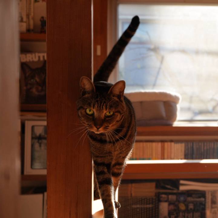 Ef554861 9c37 42e0 a67b b9d56034a725 1740665302179