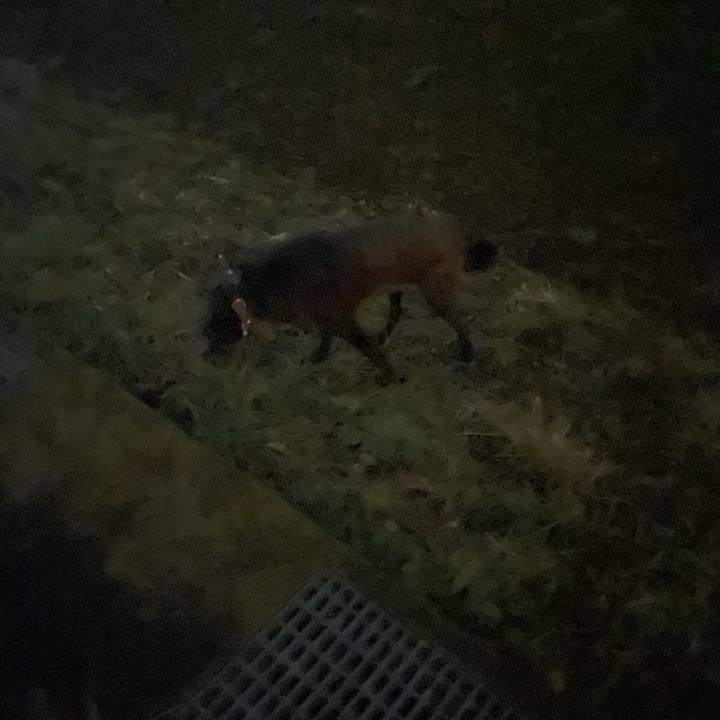 Ef5558e9 df4e 4ebf a21d a0ade3102e74 1671640318784