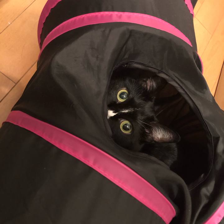 Ef5592ea 2921 4f88 b2fc bfd9516ef04b 1599693283689